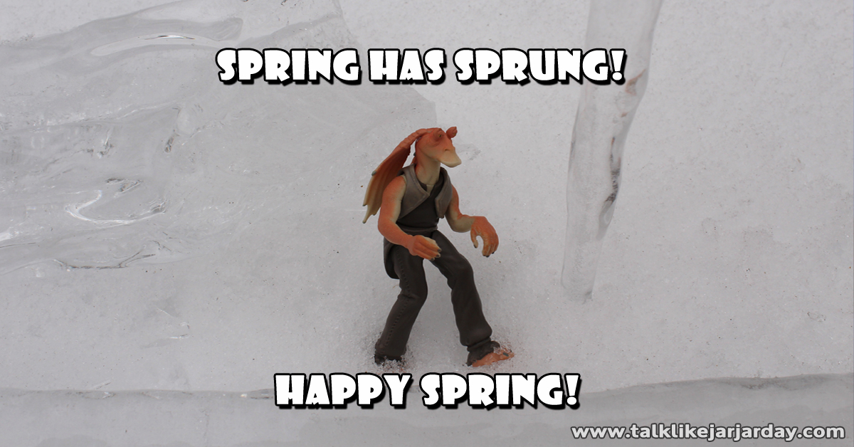 Spring has sprung!